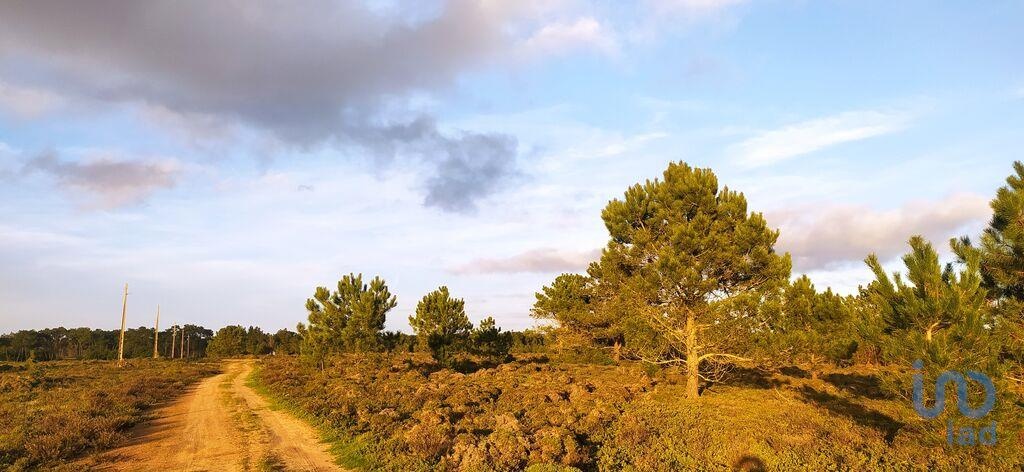 Land in Vila do Bispo - view 1