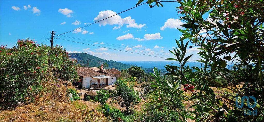 House in Monchique - view 1