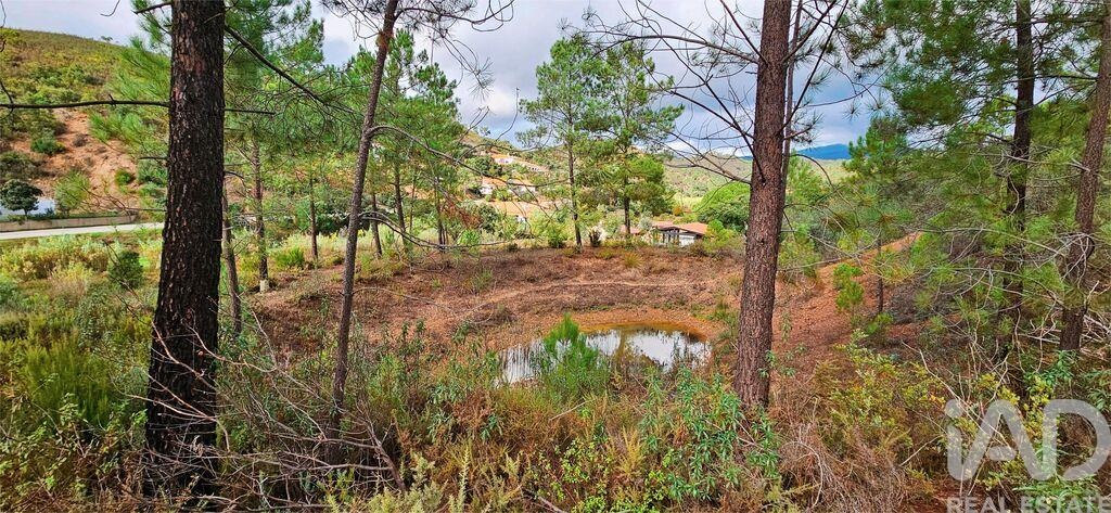 Land in Mexilhoeira Grande - view 1