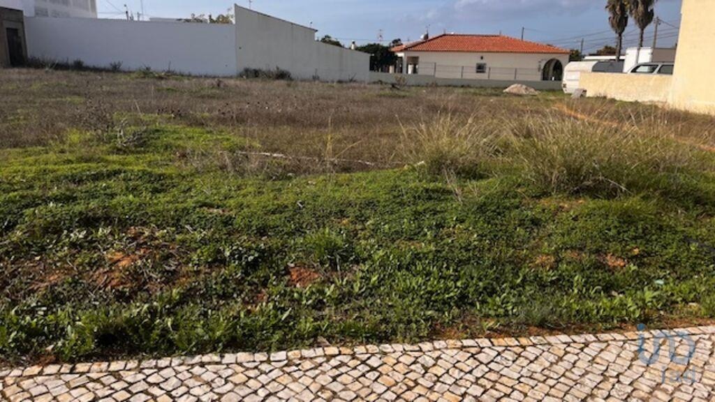 Land in Silves - view 1