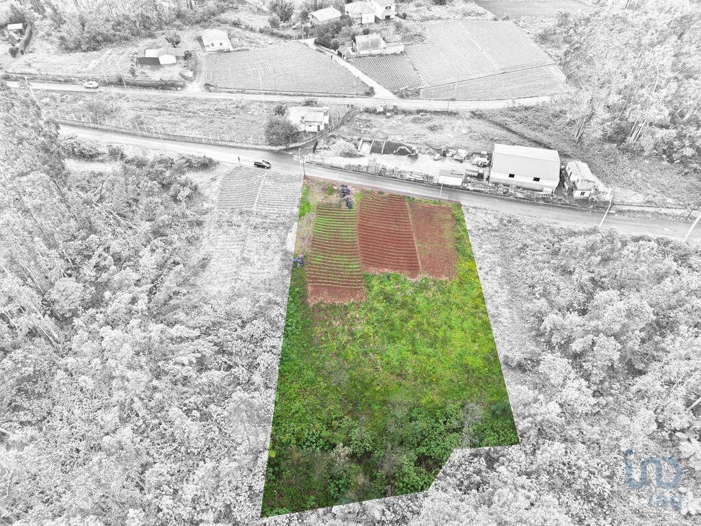 Land in Santana - view 1