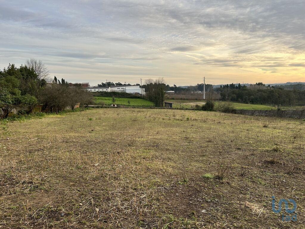 Land in Anadia - view 1