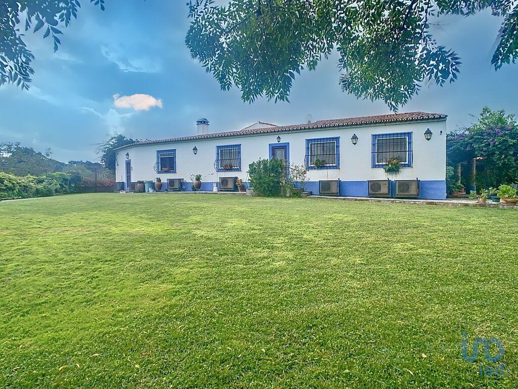 House in Reguengos de Monsaraz - view 1