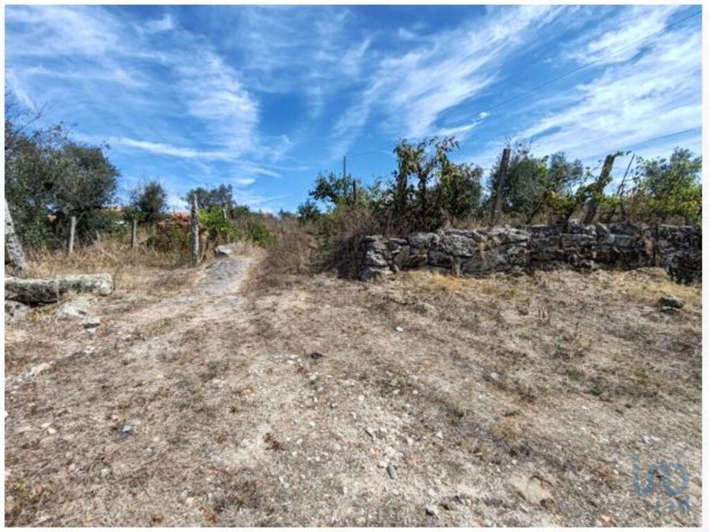 Land in Oliveira do Hospital - view 1