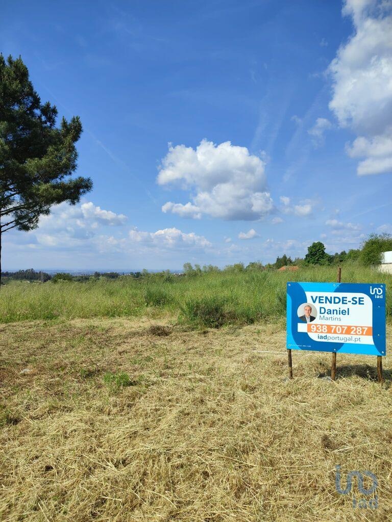 Land in Oliveira do Hospital - view 1