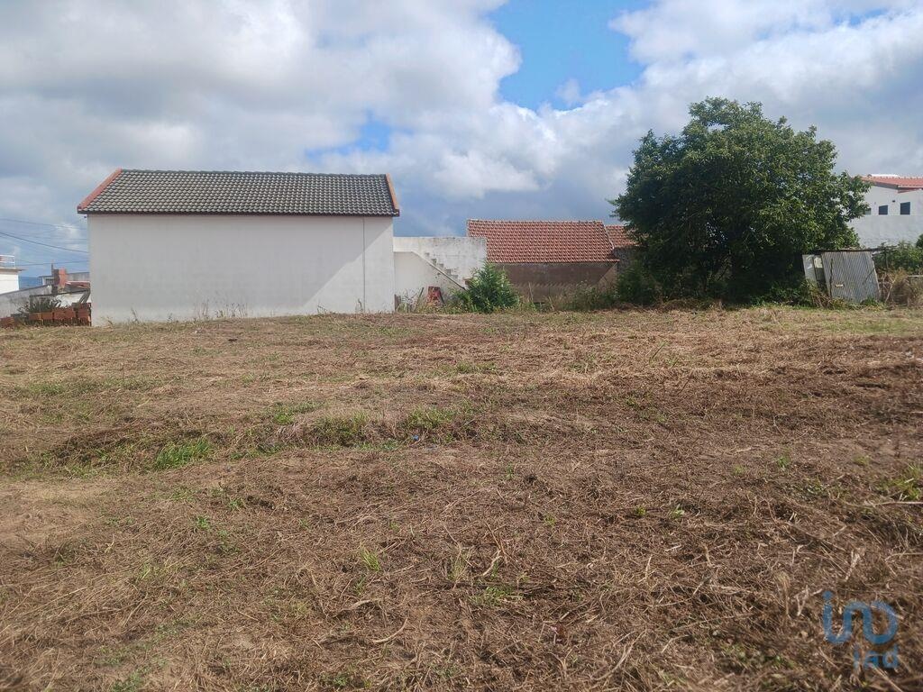 Land in Lourinha - view 1