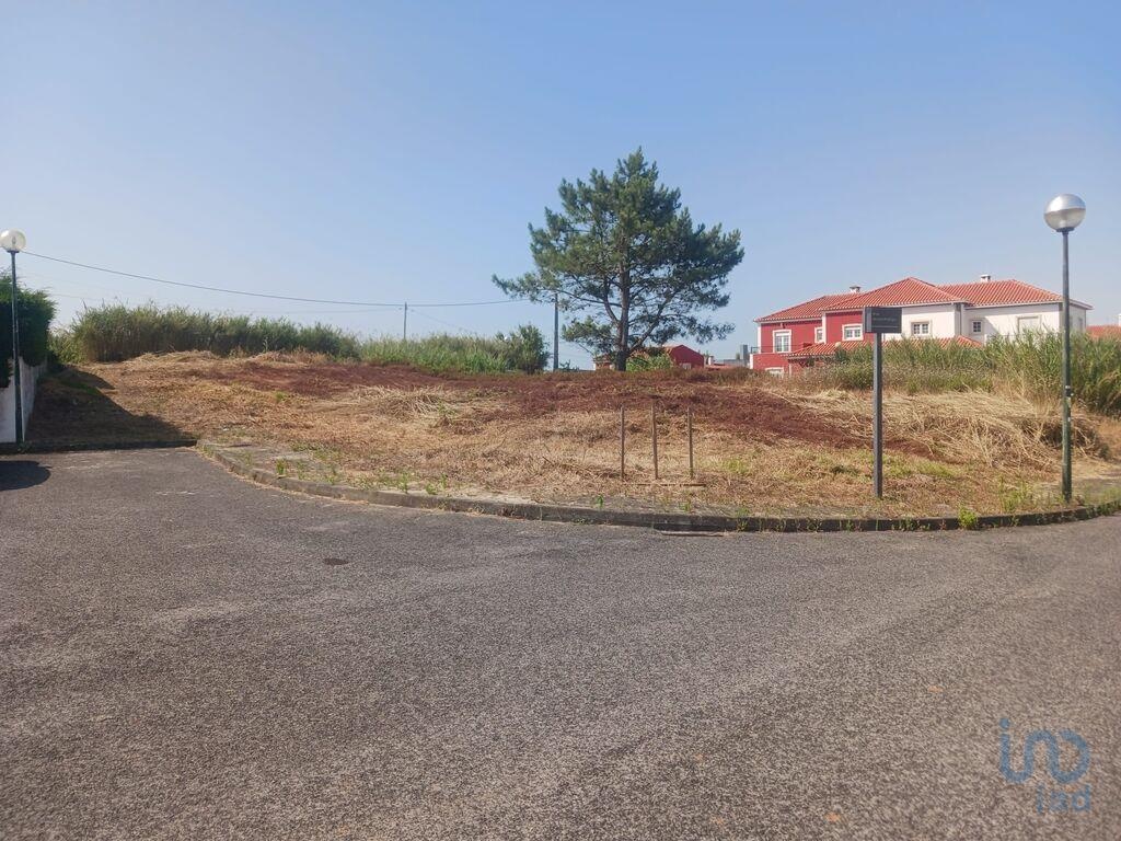 Land in Lourinha - view 1