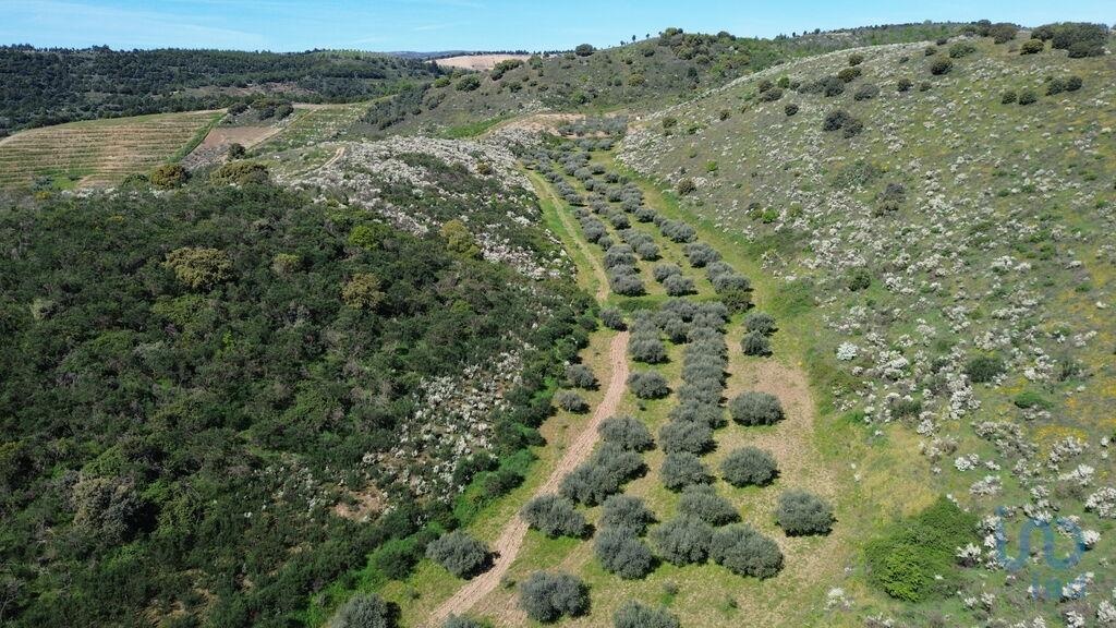 Land in Valpacos - view 1