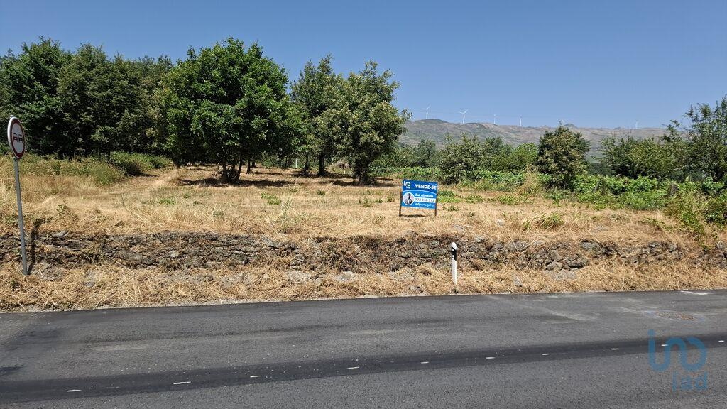 Land in Vila Real - view 1
