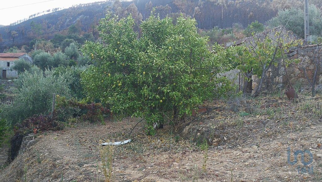 Land in Castelo Branco - view 1