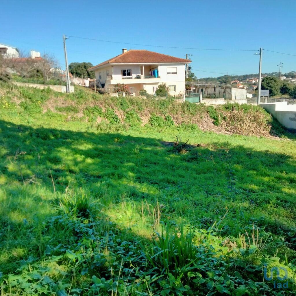Land in Caldas da Rainha - view 1