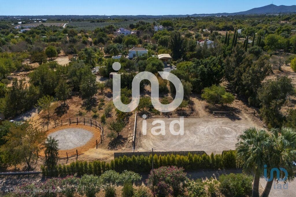 House in Tavira - view 1