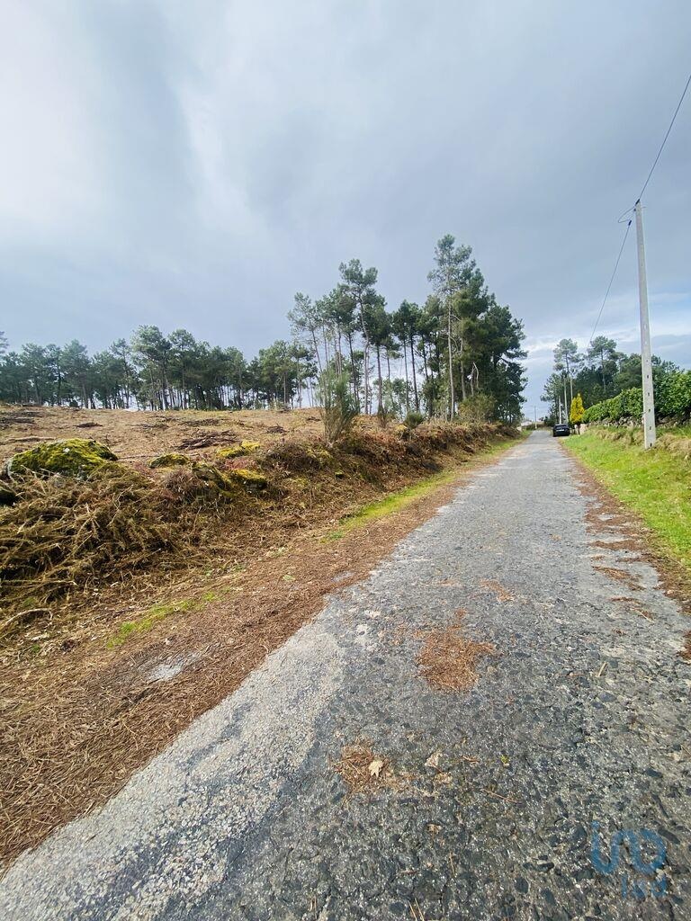 Land in Vila Real - view 1