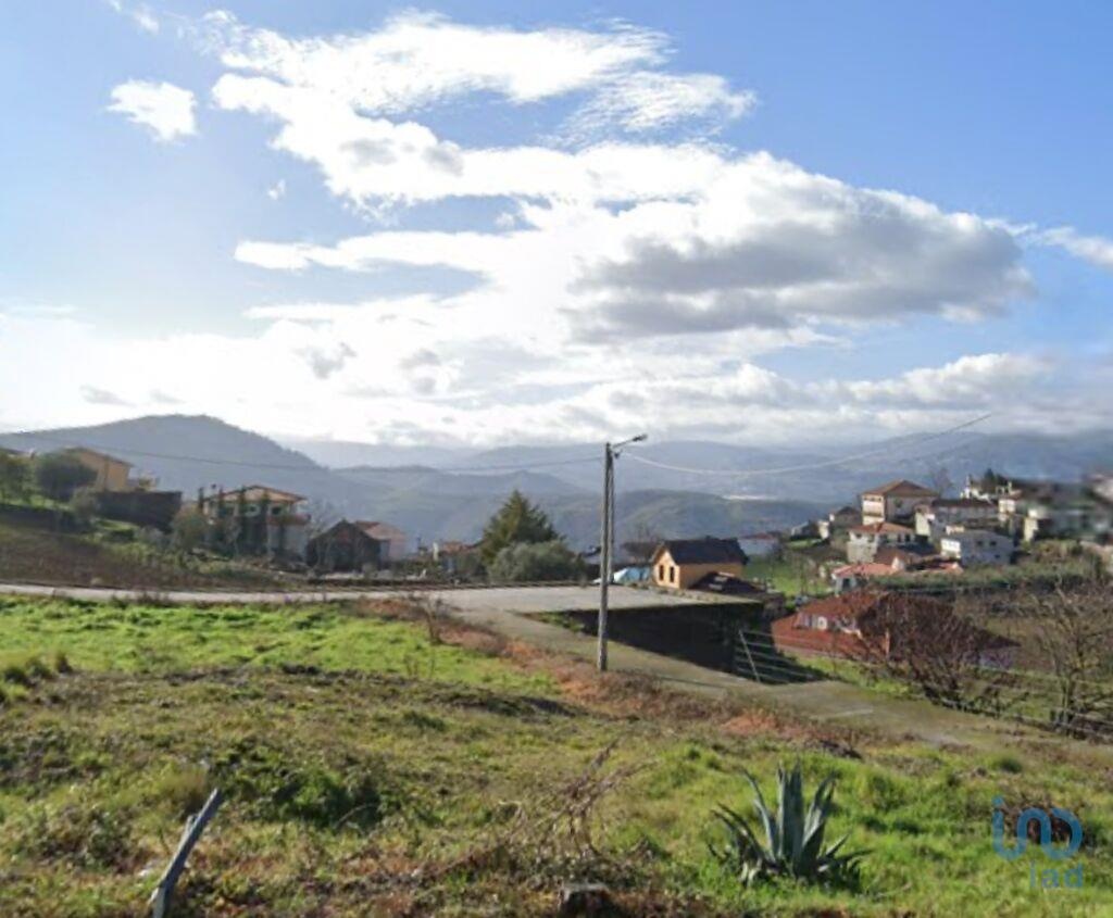 Land in Peso da Regua - view 1