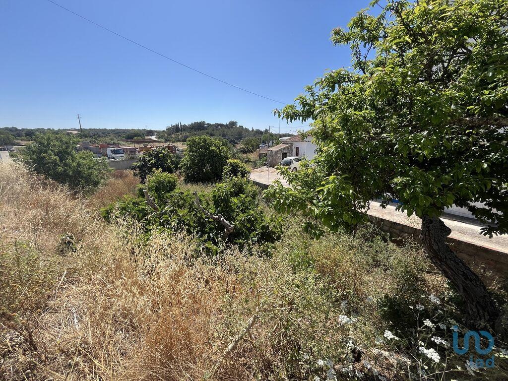 Land in Barao de Sao Miguel - view 1