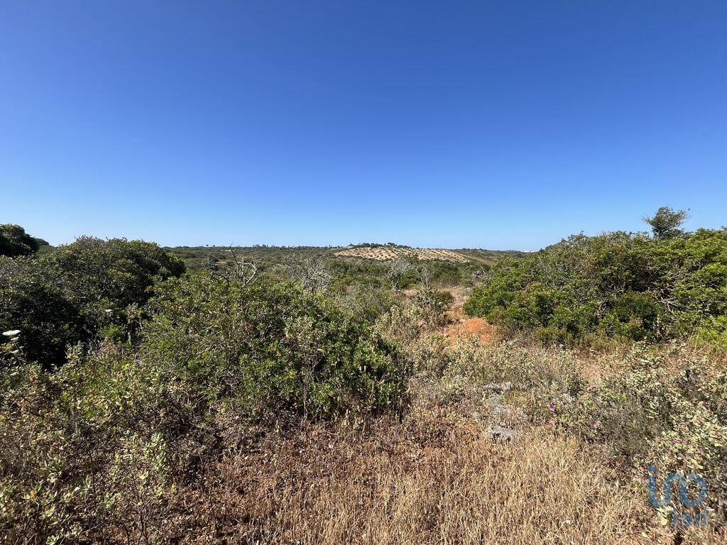 Land in Barao de Sao Miguel - view 1
