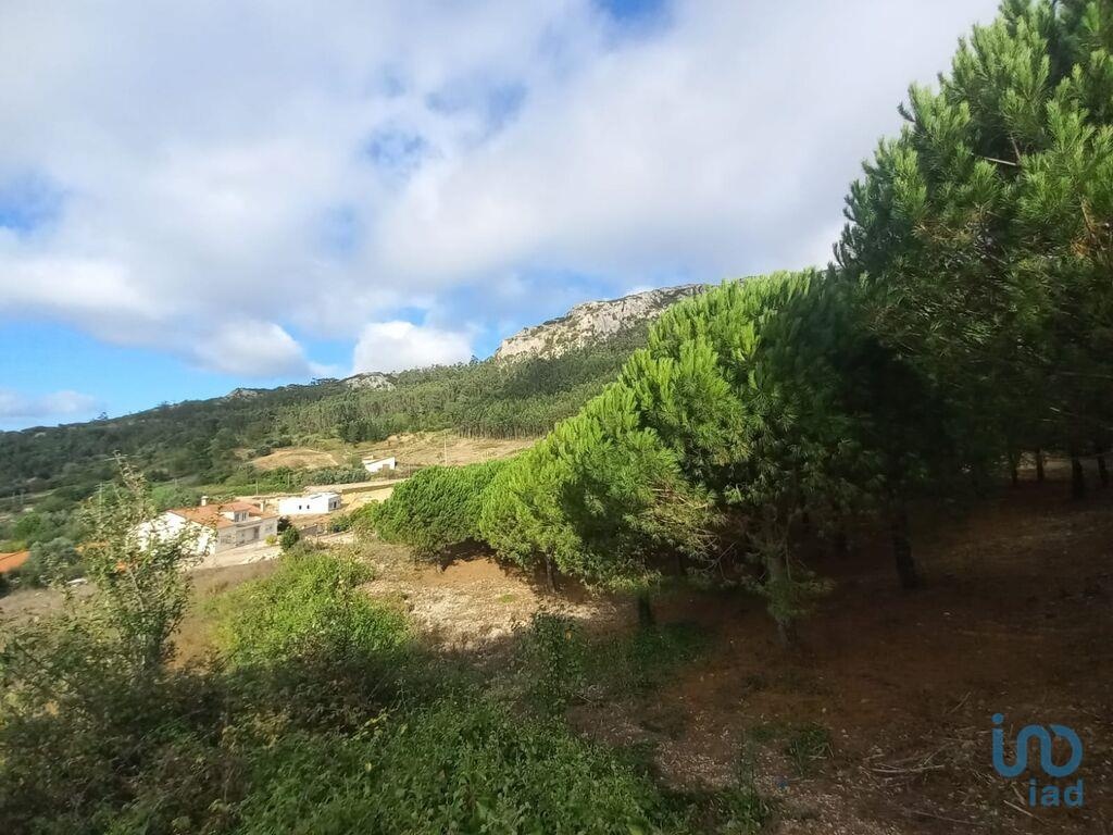 Land in Cadaval - view 1