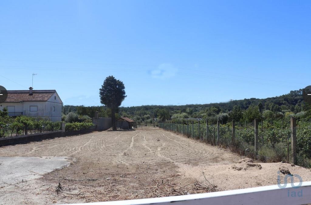 Land in Vila Nova de Ourem - view 1