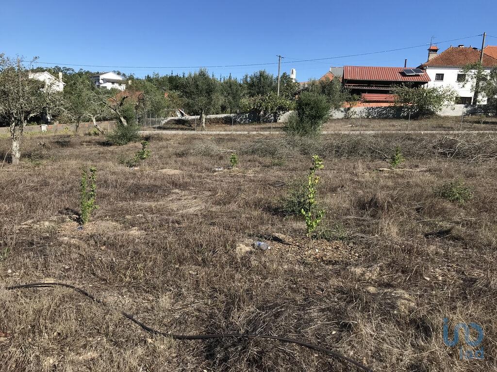 Land in Vila Nova de Ourem - view 1