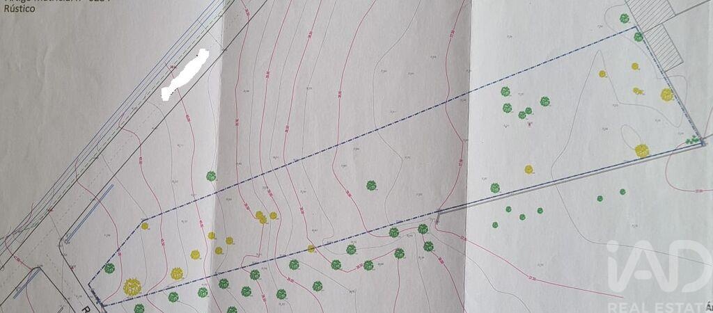 Land in Amor - view 1