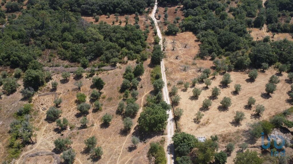 Land in Salgueiral - view 1