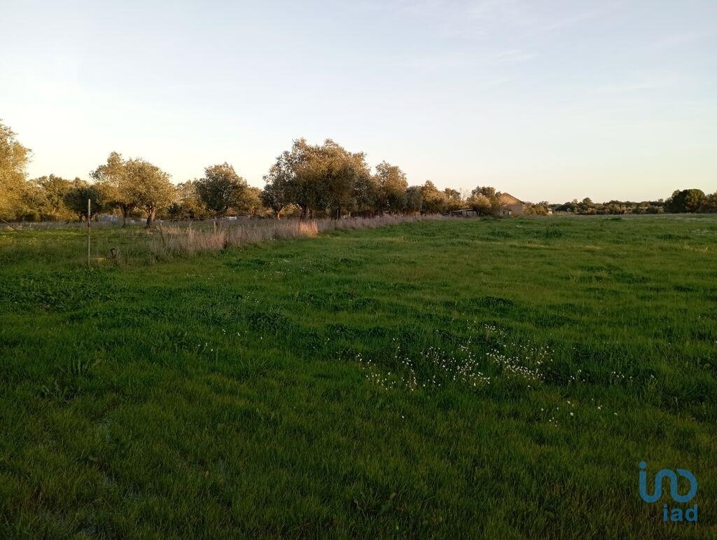 Land in Santarem - view 1