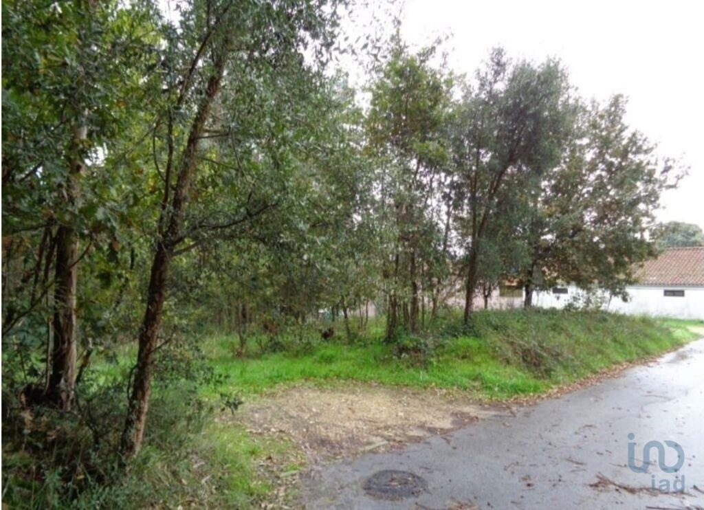 Land in Ovar - view 1