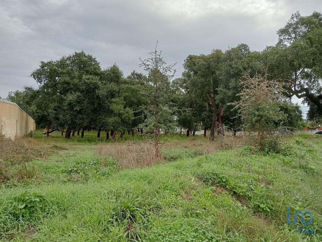 Land in Rio Maior - view 1