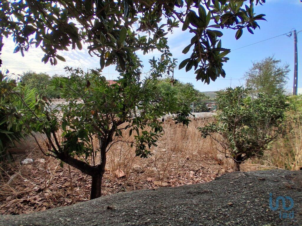 Land in Lagos - view 1
