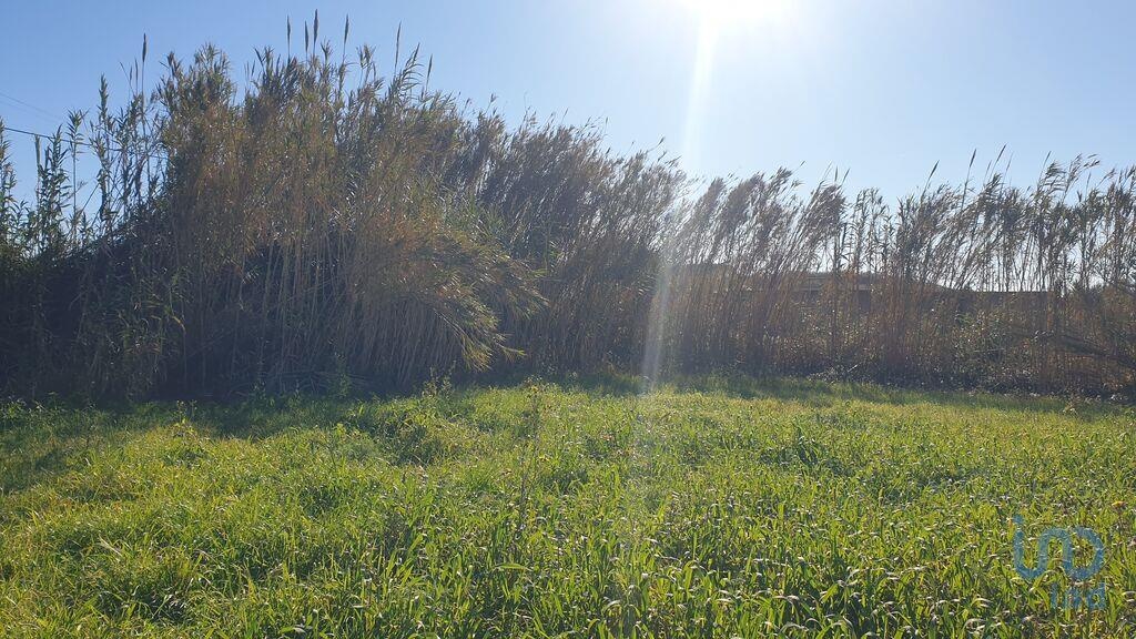 Land in Peniche - view 1