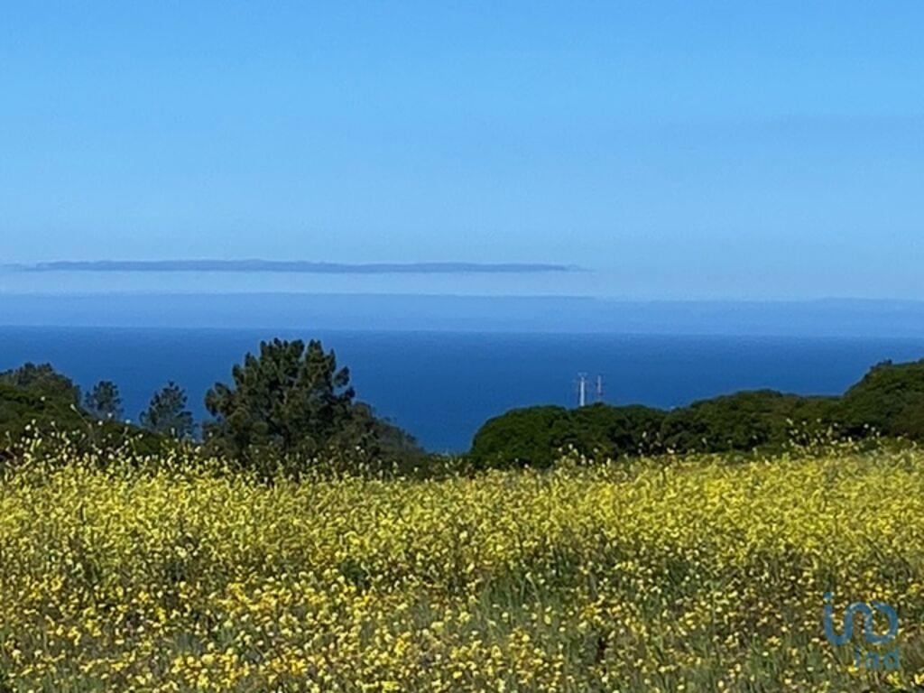 Land in Sesimbra - view 1
