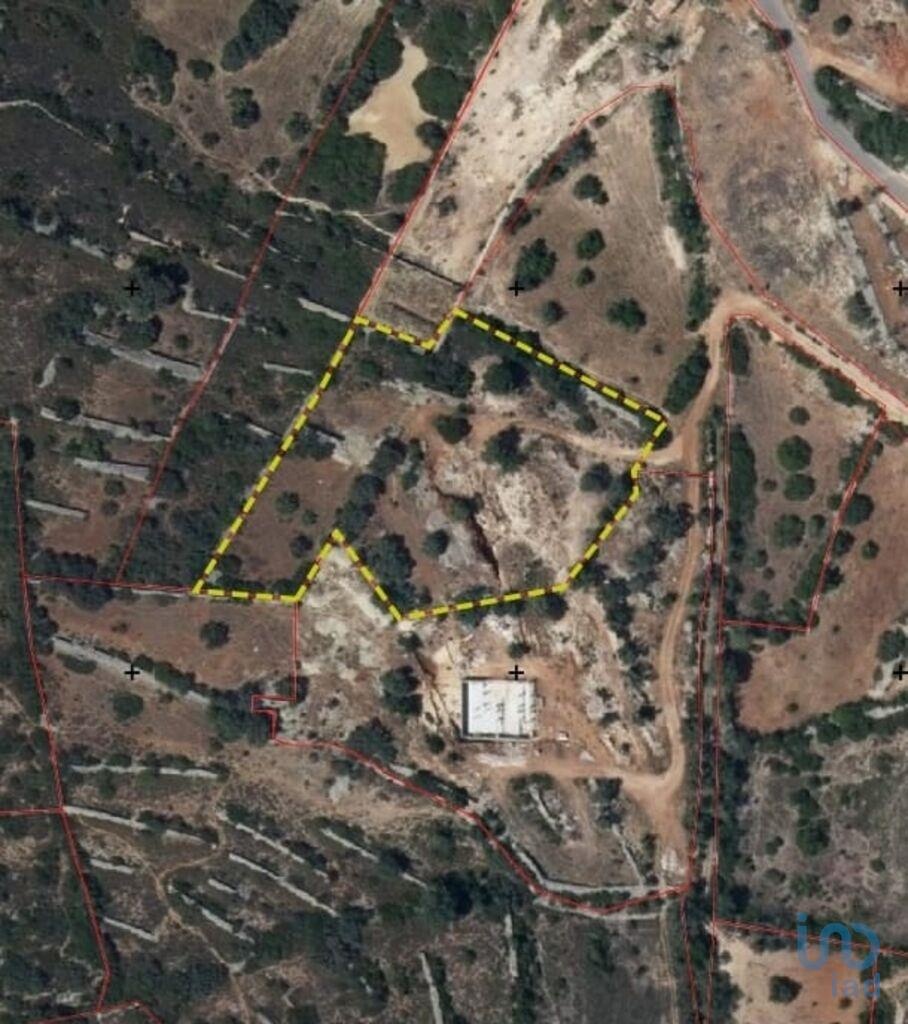 Land in Loule - view 1