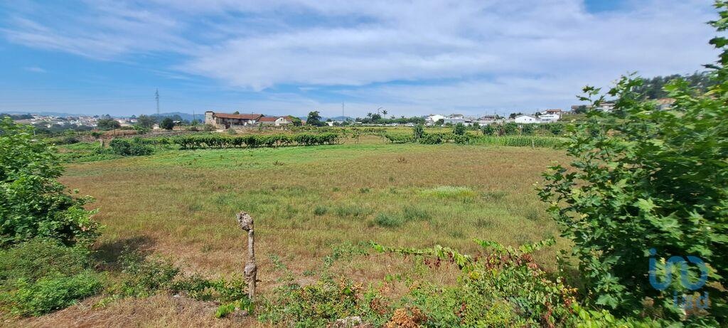 Land in Lousada - view 1