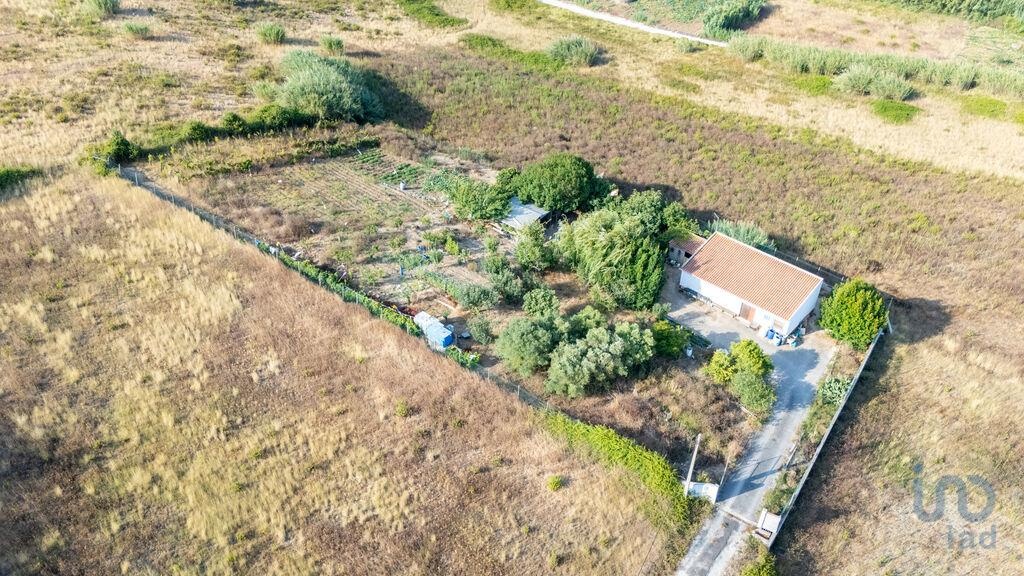 House in Lourinha - view 1