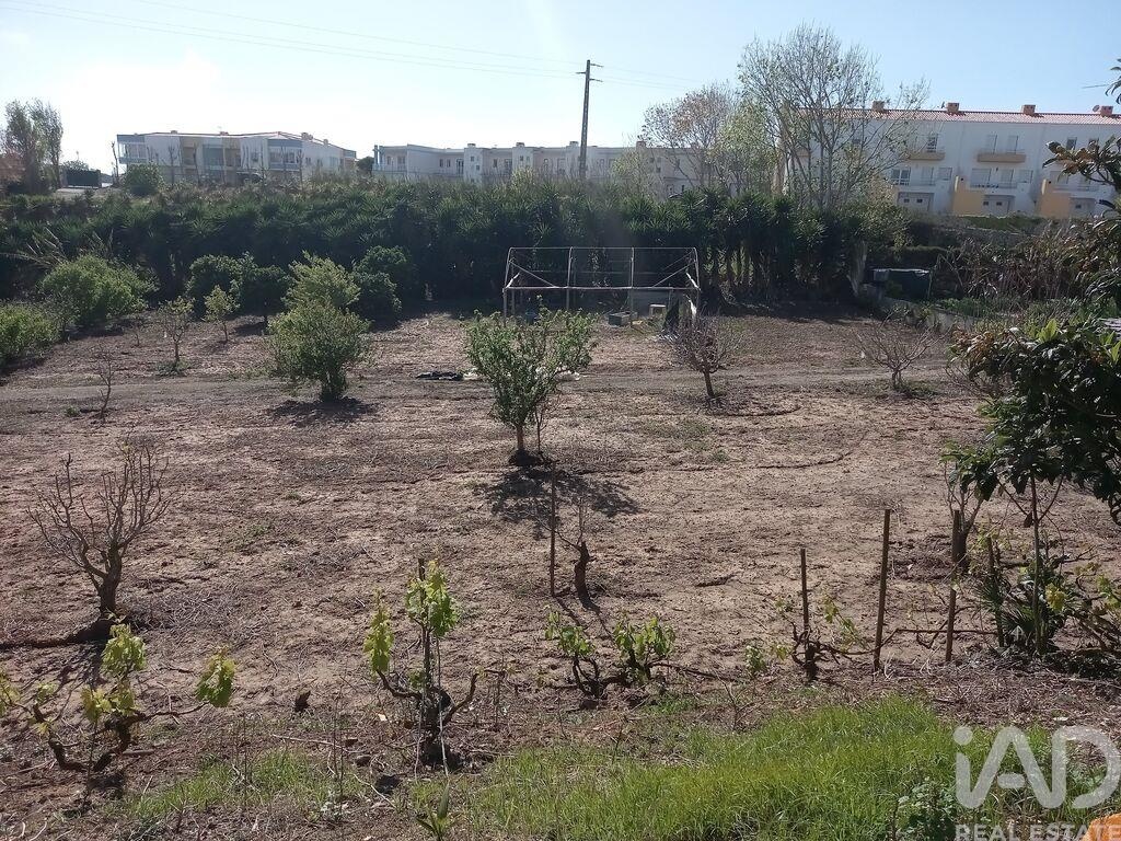 Land in Lourinha - view 1