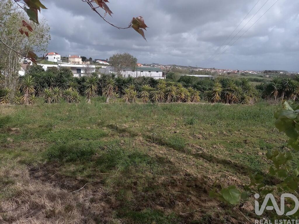 Land in Lourinha - view 1