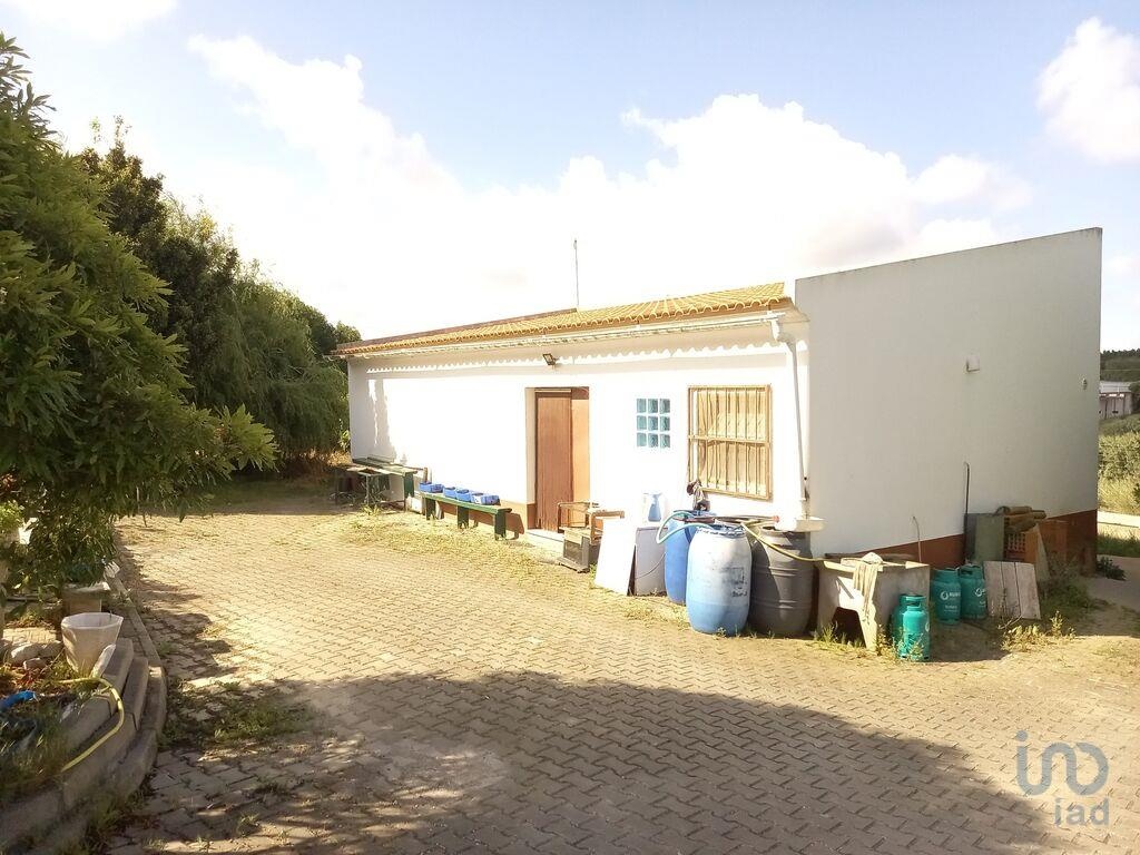 Land in Lourinha - view 1