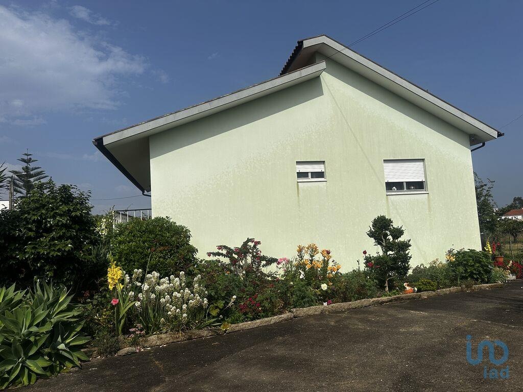 House in Albergaria-A-Velha - view 1
