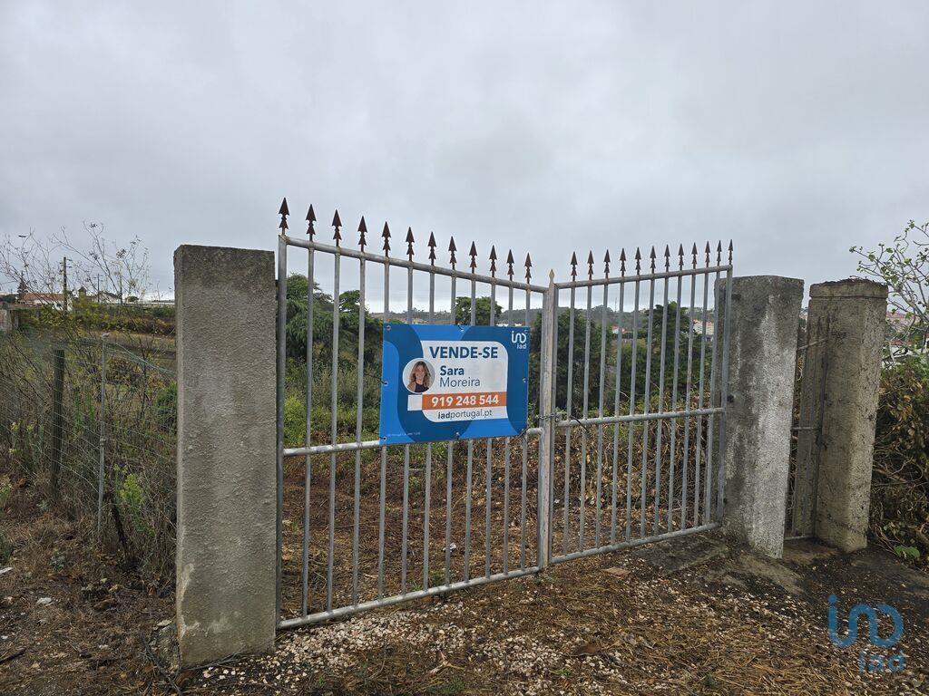 Land in Mafra - view 1