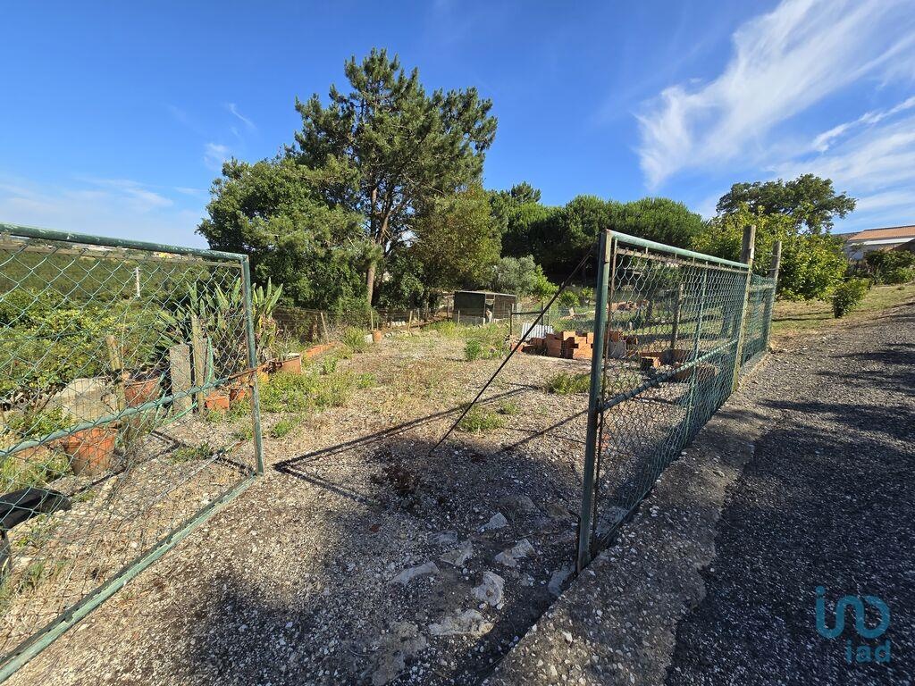 Land in Mafra - view 1