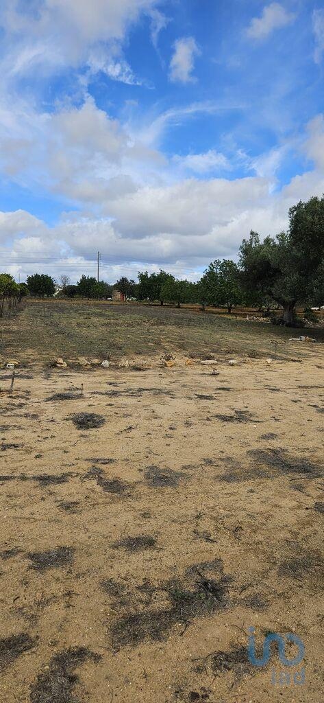 Land in Loule - view 1