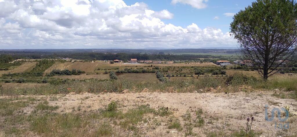 Land in Figueira da Foz - view 1