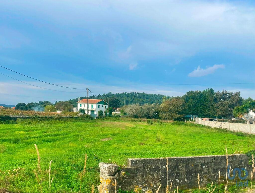 Land in Caminha - view 1