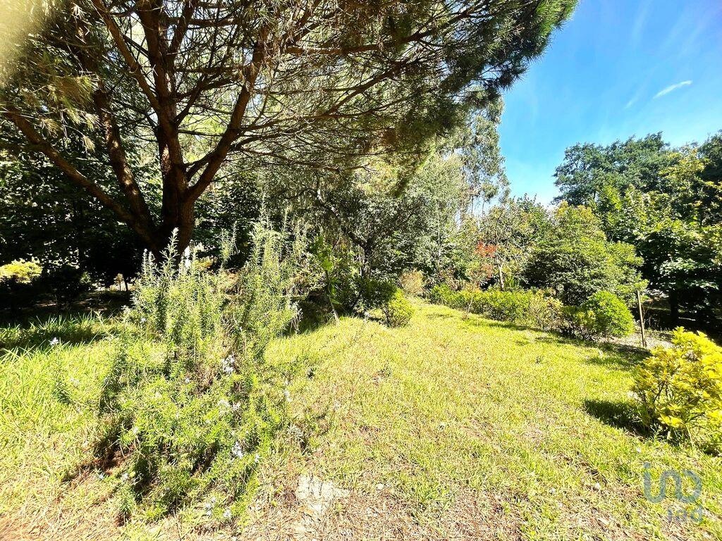 Land in Barcelos - view 1