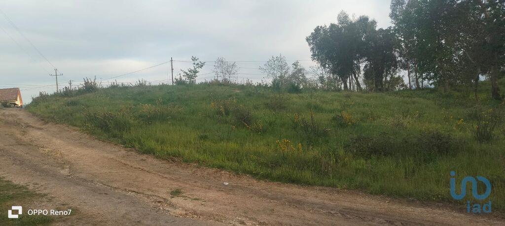 Land in Marco de Canaveses - view 1