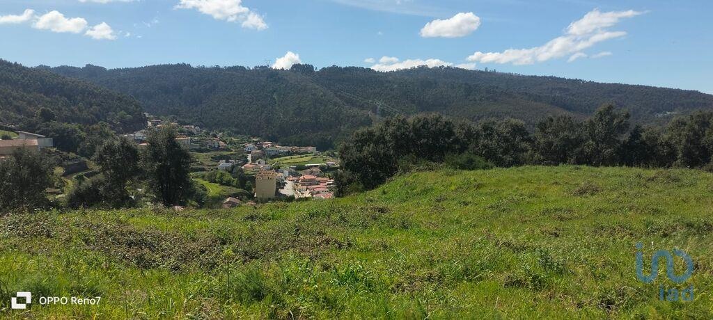 Land in Santo Tirso - view 1