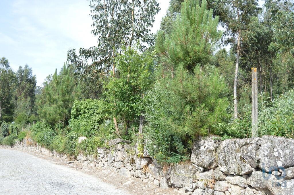Land in Penafiel - view 1