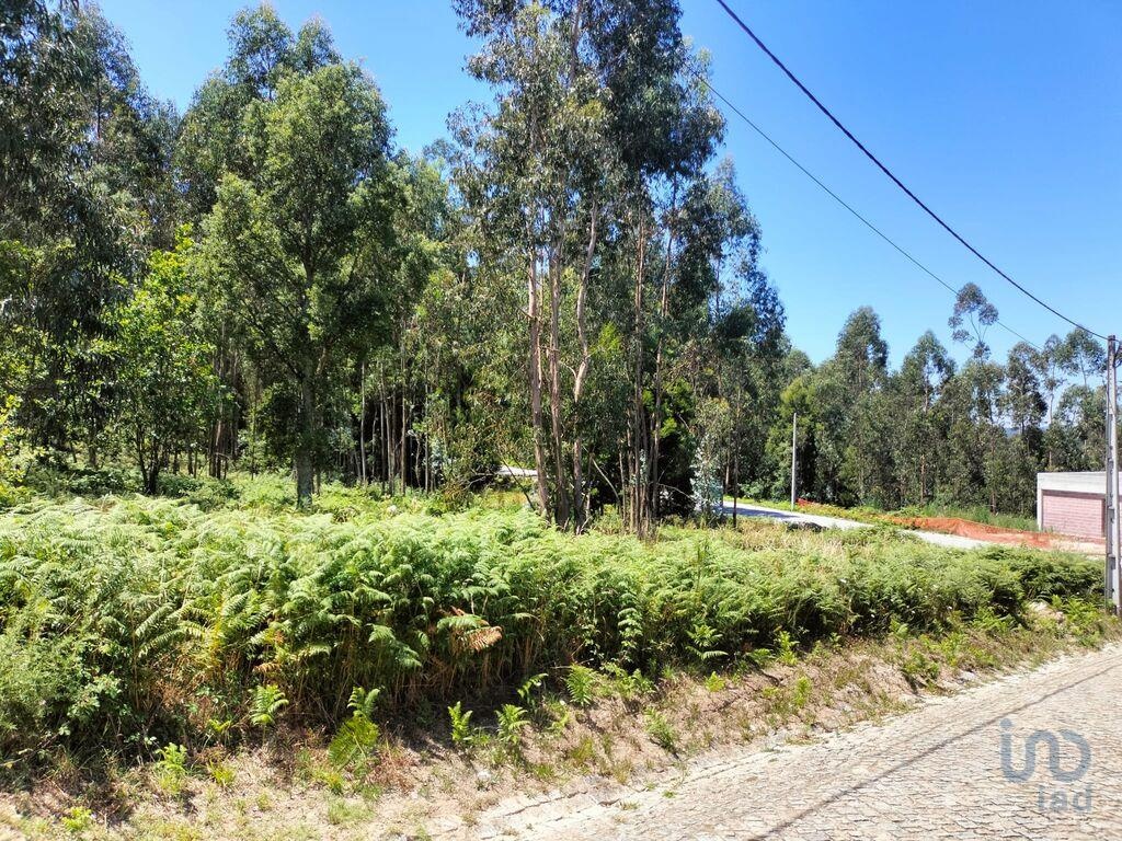 Land in Penafiel - view 1