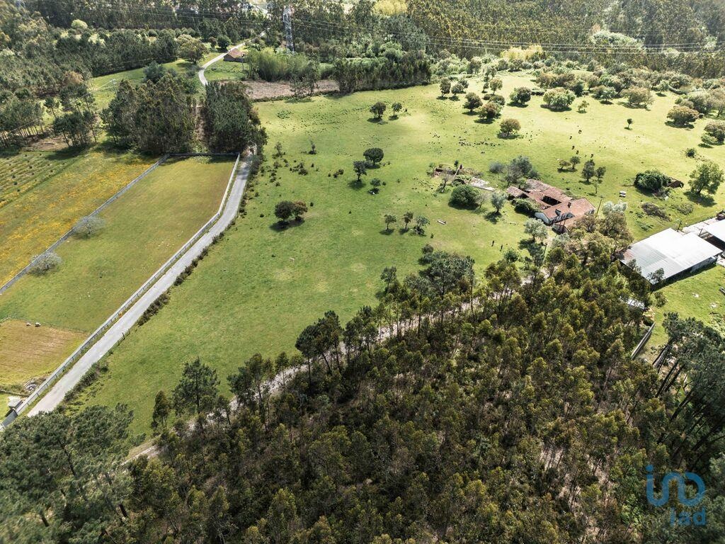 Land in Leiria - view 1