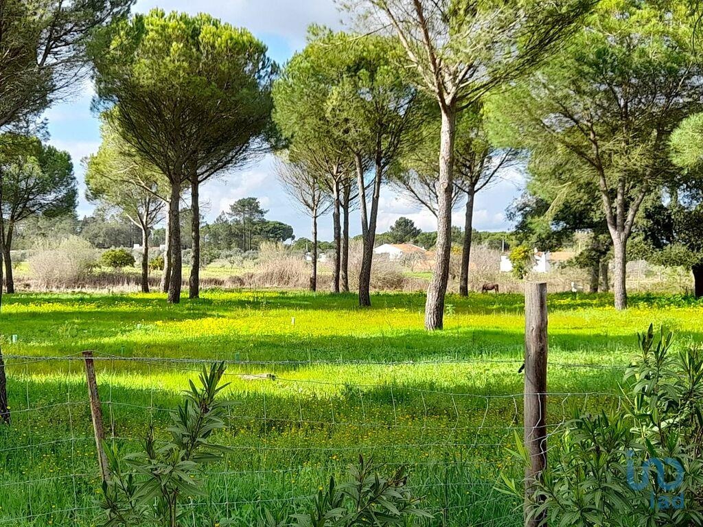 Land in Grandola - view 1